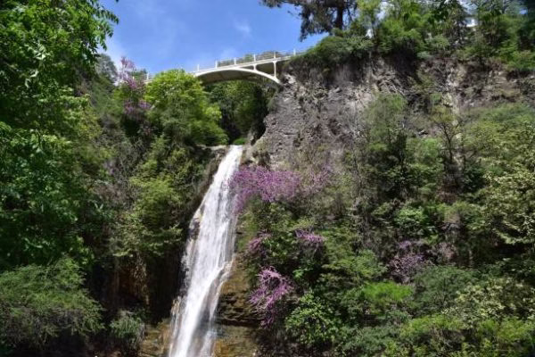 6 Days / 5 Nights Georgia Tour Package 
